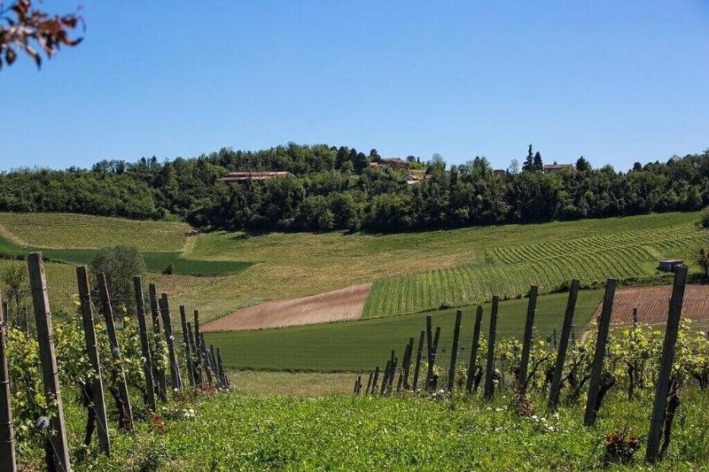 Cascina Spinerola Hotel Moncalvo Buitenkant foto